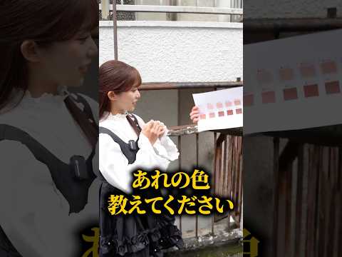 あれの色を教えてください！#shorts サムネイル