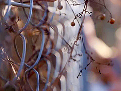 0005440_JAV_JapaneseAV_Censored_MGS_19min