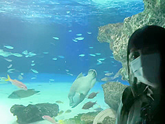 0005589_JAV_JapaneseAV_Censored_MGS_19min