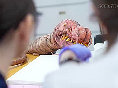 x2xCC025EBA128B1F21FC