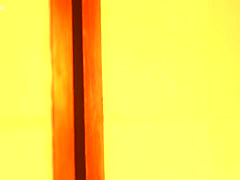 x1x804D948D049EDC003B