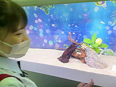 0006720_JAV_JapaneseAV_Censored_MGS_19min