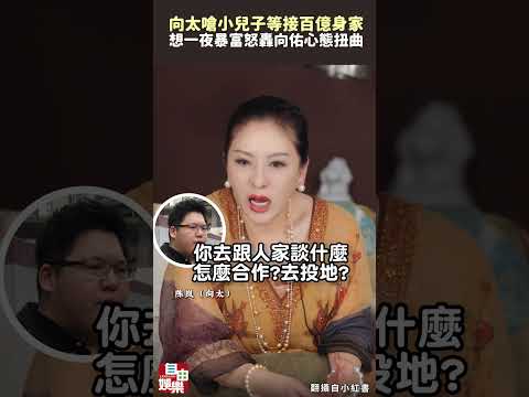 向太開嗆小兒子！只想「等接百億身家一夜暴富」 怒轟向佑心態扭曲