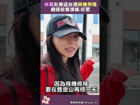 林襄赴美返台遇班機停飛  鏡頭前崩潰喊:好累 サムネイル