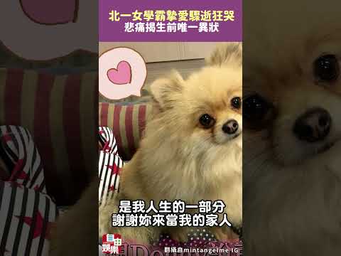 北一女學霸摯愛驟逝狂哭  悲痛揭生前唯一異狀 サムネイル