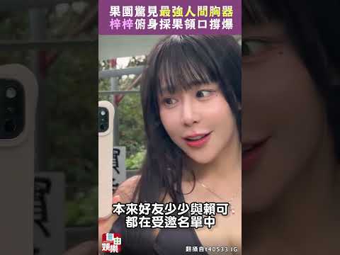 果園驚見「最強人間胸器」！梓梓俯身採果領口撐爆 サムネイル