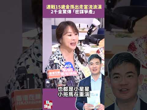 連戰15歲金孫出走當流浪漢！2千金驚傳「密謀爭產」 サムネイル